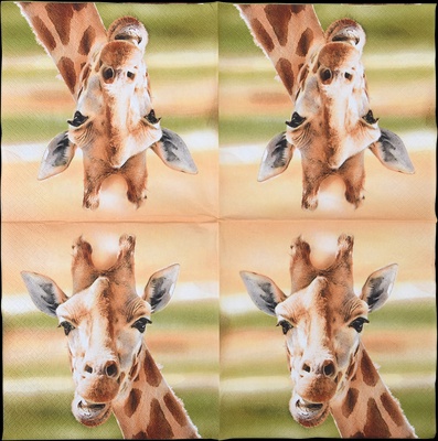 Servilletas de Papel Jirafa 33x33cm